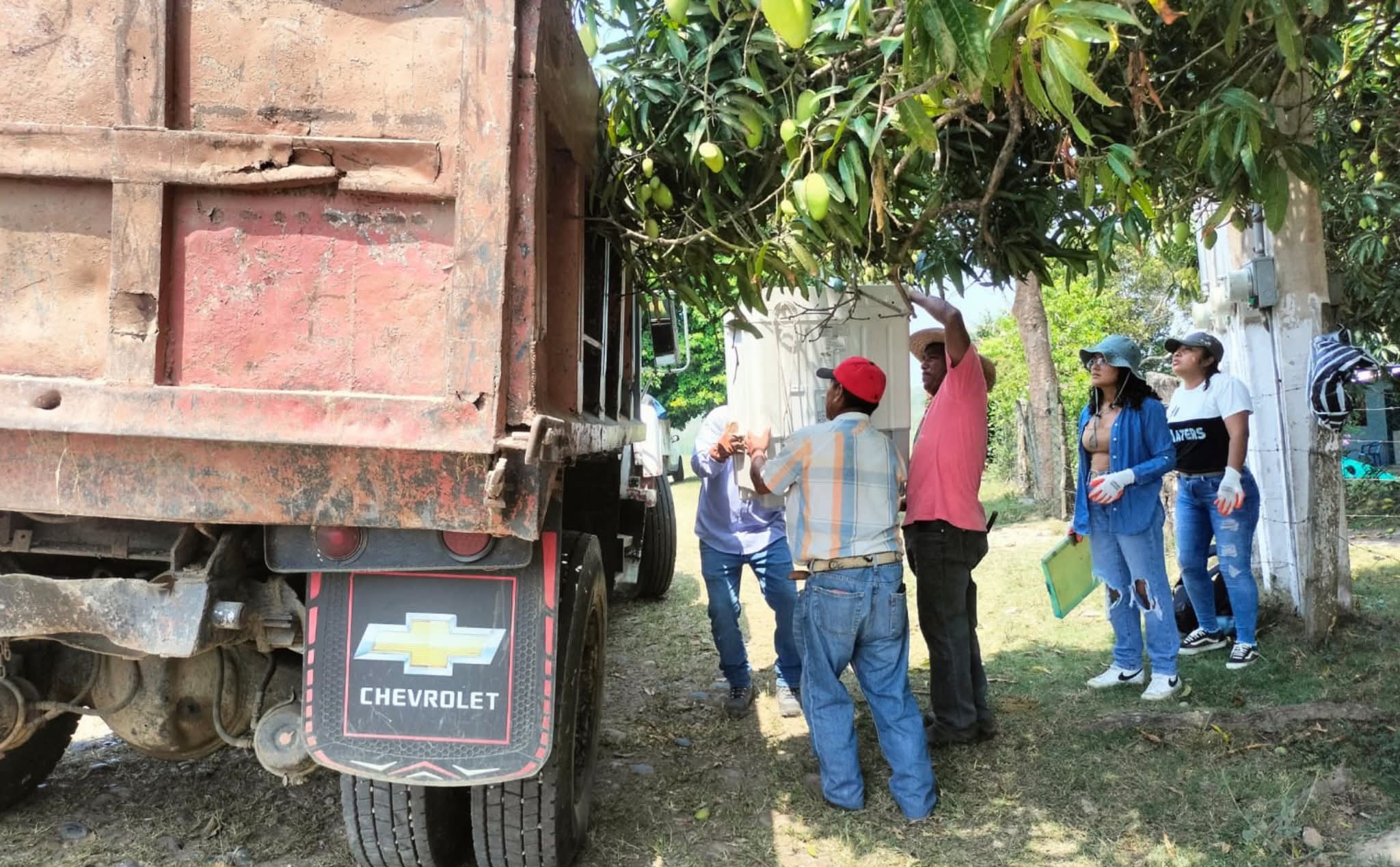 Avanza jornada de descacharrización en Cazones para fortalecer la salud comunitaria